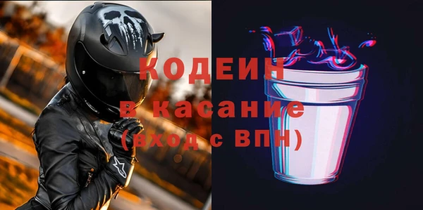 шишки Киренск