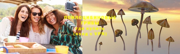 шишки Киренск
