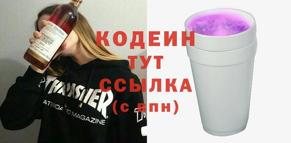 шишки Киренск