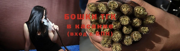 шишки Киренск
