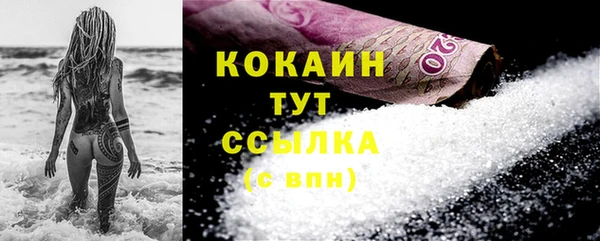 шишки Киренск